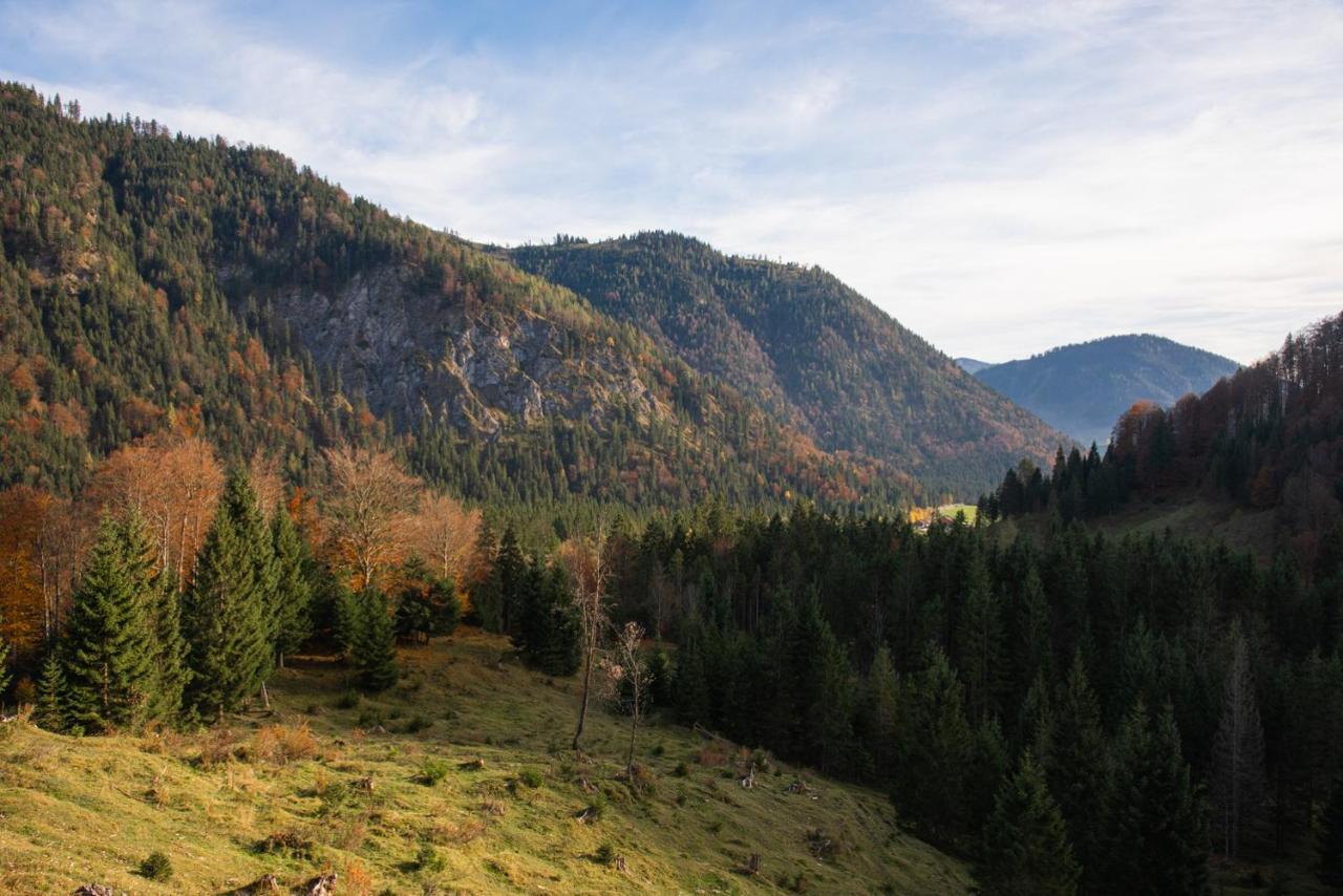 Gipfelkoenig Διαμέρισμα Bayrischzell Εξωτερικό φωτογραφία